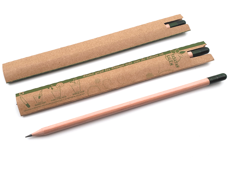 50 Adet Tohumlu Kurşun Kalem