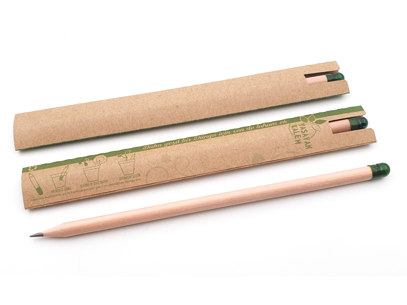 Eco Kısa Kapsüllü Tohumlu Kurşun kalem Baskısız  Kampanya