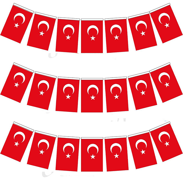 İpe Dizili Kağıt Bayrak 12x18 cm (40'LI)