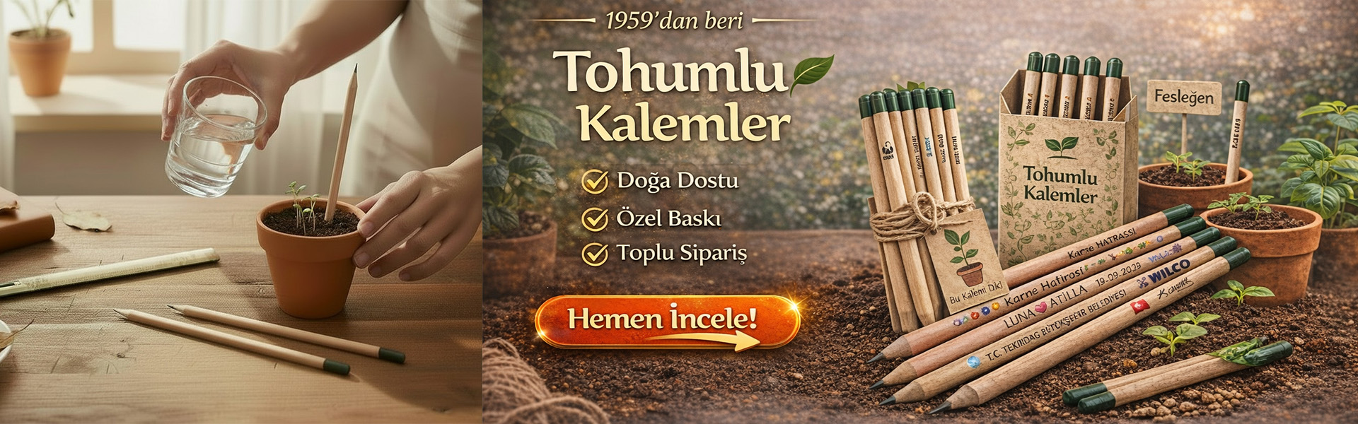 Tohumlu Kurşun Kalem